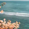 🌊🦋🤍 - @oliviashaulacc - TikTok
