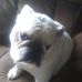 Olivia Sheldon - Facebook