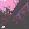 Olivia🌻 - @xx_olivia.shipley_xx - TikTok