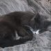 Olivia Shoemaker - Facebook