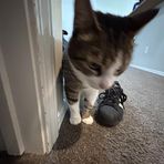 Olivia Shutters - Facebook