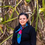 Olivia Sierra W&E Planner - @oliviasierra.eventos - Instagram