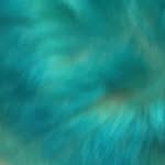 not active - @oliviasilverio1 - Instagram