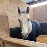 Olivia Simmonds - @greyfluffyconnie - Instagram