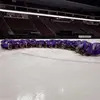 olivia⛸️💝🌟 - @oliviaa..skates - TikTok