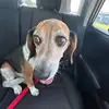 oliviasmiley - @_olivia_smiley - TikTok