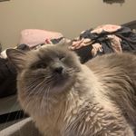 Olivia Smoot - @oliviasmoot9 - Instagram