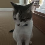Olivia Spector - @squivvy5 - Instagram