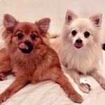 Amy & Olivia - @amy_olivia_spitz - Instagram