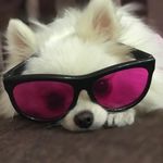 Оливка - @olivia_spitz18 - Instagram