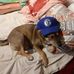 Olivia Spitz - Facebook