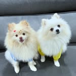 Samuel e Olívia 🚗🧸 - @samuel.olivia.spitz - Instagram