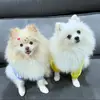 Samuel e Olívia 💙🩷 - @samuel.olivia.spitz - TikTok