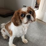 Cerys Olivia Spratt - @cezy009 - Instagram