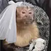 olivia - @livvstaab - TikTok