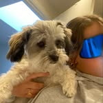 Olivia Crone Staats - @oliviacronestaats - Instagram