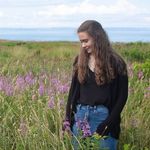Olivia Stacey - @oliviastaceyart - Instagram