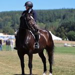 Olivia Staley - @olive.equine - Instagram