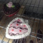 Olivia_Stanfield - @bakedinthecake - Instagram
