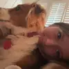 olivia.gstanger - @olivia.gstanger - TikTok
