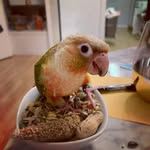 Olivia Stclair - @eddiespaghetti2020 - Instagram