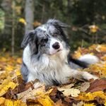 Olivia Steiner - @o.perwein - Instagram