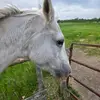 Olivia Steiner - @olivia.steiner7 - TikTok