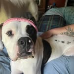 Olivia Christina Strohecker - @olivia_strohecker - Instagram
