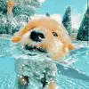 Olivia - @oliviastrohbusch - TikTok