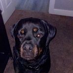 Olivia Stroh - Facebook
