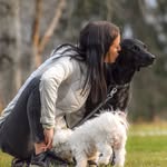 Solbacka hundar- Olivia Strömberg - @zeldaochhjordis - Instagram