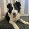 Olivia - @olivia_.sutherland - TikTok