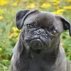 OliviaSutherland - @user6605307779303 - TikTok