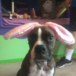 Olivia Symes - @symes.o - Instagram