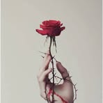 Oliva Tarin - Facebook
