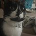 Olivia Templeton - Facebook