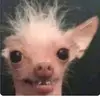 oliviatempleton823 - @hi_to_my_imagination - TikTok