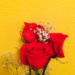 Olivia Tharp - @oliviatharp515 - Instagram