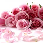 Olivia Tinoco - Facebook