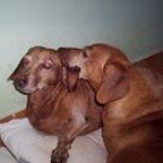Olivia Toledo Toledo - @oliviatoledo.toledo.3 - Instagram
