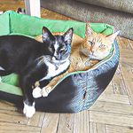 Olivia & Toribio - @oliviaytoribio - Instagram