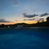 oliviatrapp123 - @oliviatrapp123 - TikTok