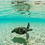 Olivia Triggs - @animals_r_us101 - Instagram