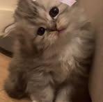 Olivia Tovilla - Facebook