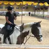Olivia & Troy - @olivia_equestrian10 - TikTok