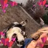 Olivia - @olivia_troy1 - TikTok
