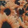 Liv - @olivia_upton - TikTok