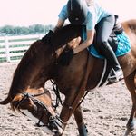 olivia urban - @ottb_hemingway - Instagram
