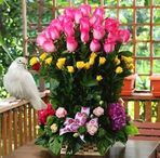 Olivia Utrera - Facebook