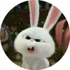 olivia - @oliviavacamachado - TikTok